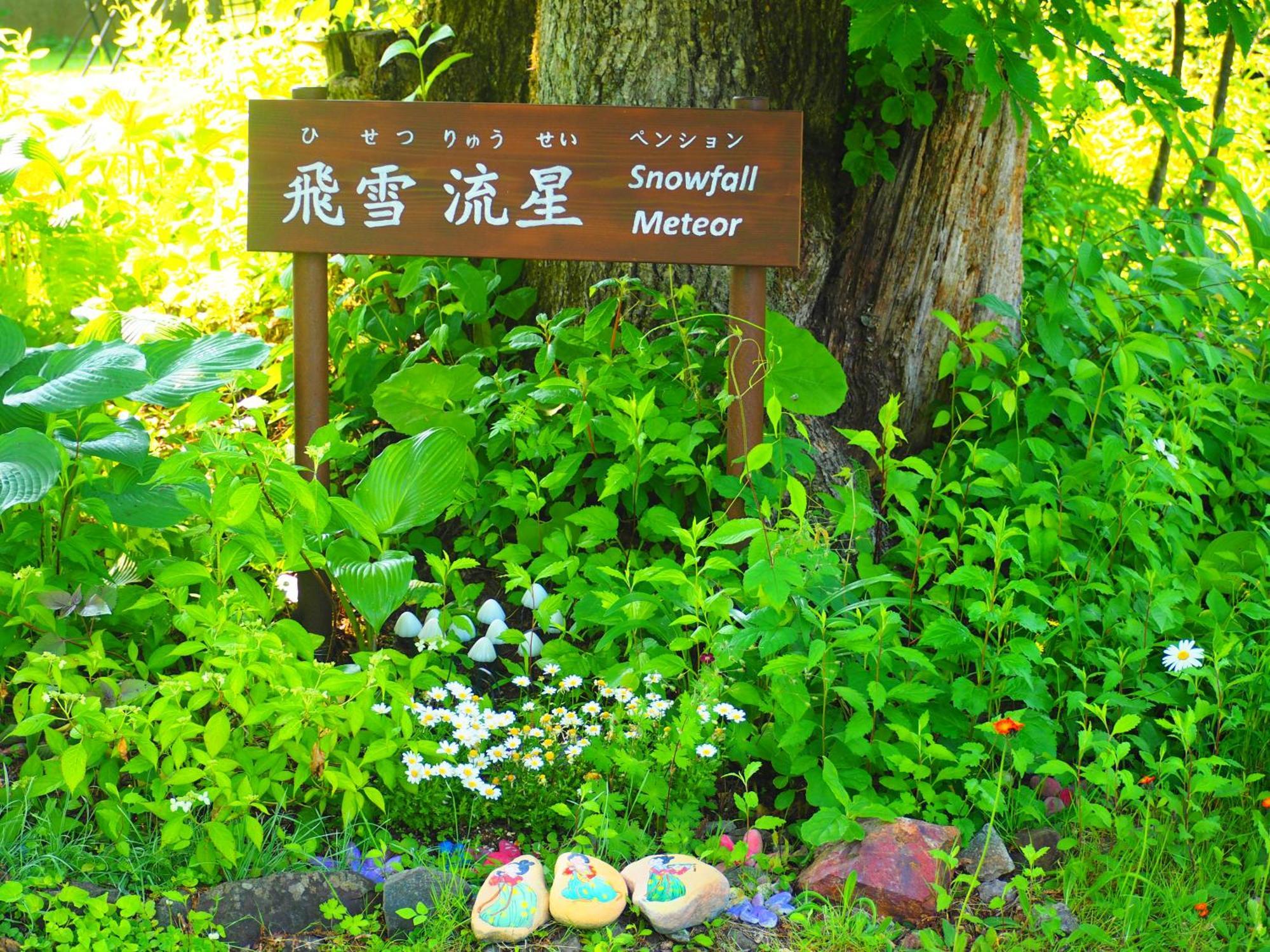 Snowfall Meteor 飛雪流星 Kaminoyama Exterior foto